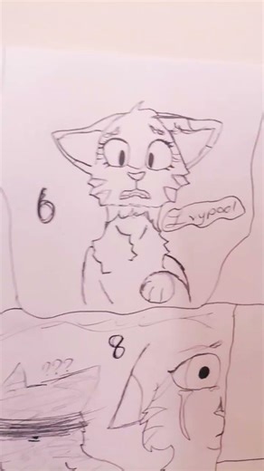 Warrior Cats Ivypool meets Hawkfrost