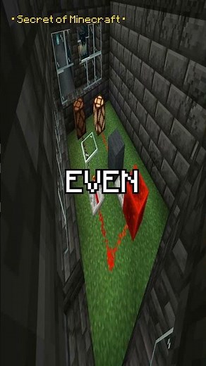 Target Blocks Like a Pro #minecraft #short