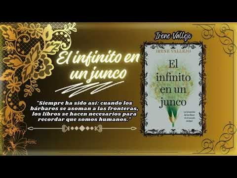 Infinity in a Reed: Discover the Fascinating History of Books and Their Creation!