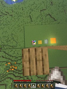 落下ダメージの検証をしてたら… #マイクラ #マインクラフト #minecraft #shorts