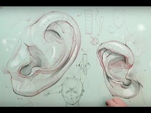 ANATOMY FOR ARTISTS: Ear Anatomy Part 1