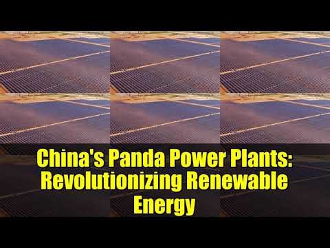 China's Panda Power Plants: Revolutionizing Renewable Energy