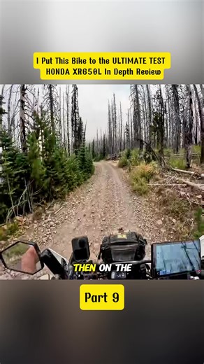 HONDA XR650L Ultimate Test: In-Depth Review