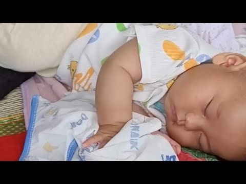 Mother Without Support Builds a New Life 💔 | Wedding Preparations & Vegetable Gardening with Daughte