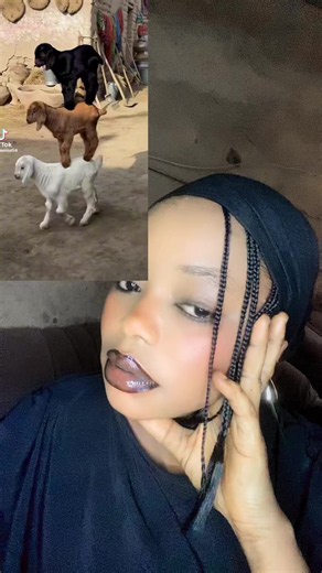nana Fatima backup🕋🕋 (@nan_fatima_capacity)’s videos with original sound - nana Fatima backup🕋🕋