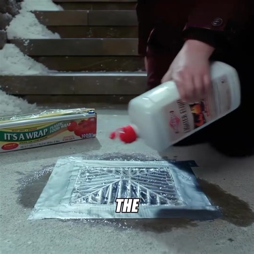 317K views · 3K reactions | Home alone ⭐⭐ #starseverywherefypシ゚viralシypシ゚viralシhtag #naturelovers #net #newyork | soft touch entertainment | Facebook