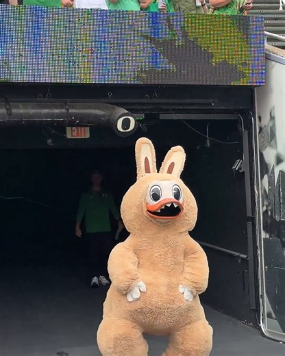 The Oregon Duck dressed up as a Labubu 🤣 (via BriAmaranthus/X) | Oregon Football | ESPN