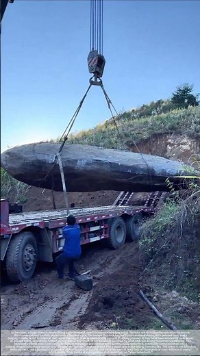 Resembling a spaceship? Nature's transport