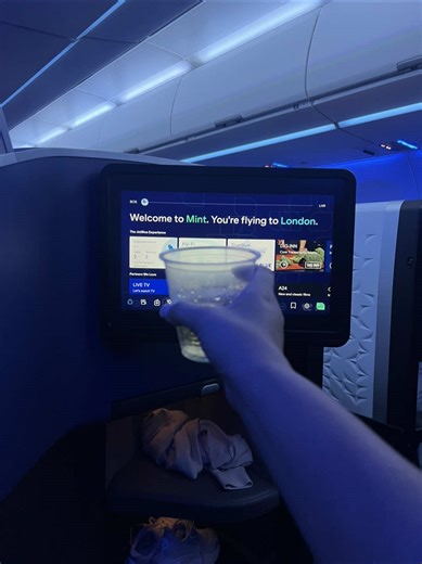 JetBlue: Perfect Holiday Travel Experience