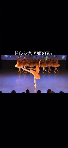 Princess Dulcinea's Variation from Don Quixote