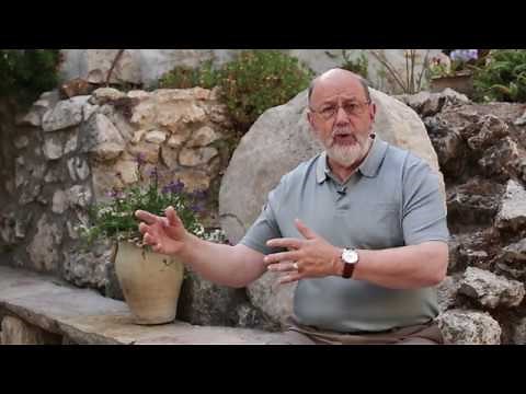 Jesus and Paul: Different Gospels? (N. T. Wright Q&A)