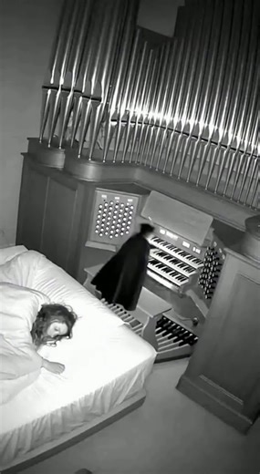 Count Catula can't catch a break... #catsareweird #aigc #funnycats #cats #catsarejerks