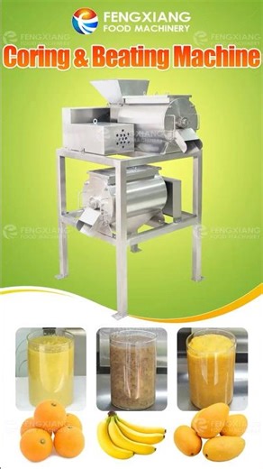 Fruit Pulp Processing Machine for Banana, Orange & Mango | Dual Channel Pulper