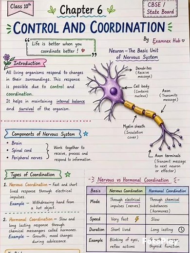 Control and Coordination Class 10 Science Chapter 6 | Full Notes with Neuron Diagram |