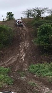 80K views · 437 reactions | Formiga, pula. Pula logo formiga. kkkk | Oséias Miranda | Facebook