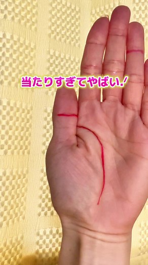 全タイプの解説は📝⇣ 詳しく知りたい方は フォローしてコメントで教えてね☺️✨ 親指の第1関節の位置が A:生命線より上 ↬ あまり考えず直感タイプ⁡ ⁡ B:生命線とピッタリ ↬ 感情穏やかに周りと調和するタイプ ⁡ C:生命線より下 ↬ 考える力があり、長考するタイプ 私はB！☺️ 詳しく知りたい方は コメントで、A.B.Cを選択してねっ.ᐟ‪ 特性を知って、より人生を豊かにしていこう！ 𓂃 𓈒𓏸◌‬𓂃 𓈒𓏸◌‬𓂃 𓈒𓏸◌‬𓂃 𓈒𓏸◌‬𓂃 𓈒𓏸◌‬𓂃 𓈒𓏸◌‬ 現在無料鑑定🔮は 再開中！順番にご案内！ 公式LINEにて！ ご希望の方は プロフのリンクから ▼ @tesou_kosei_honami