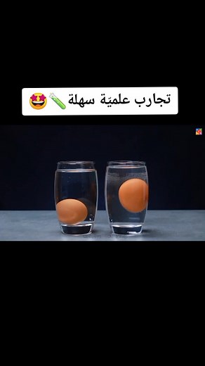 #science #experiments #trending #explore #fun #علوم #تجارب #تسلية #اكسبلور #ترند