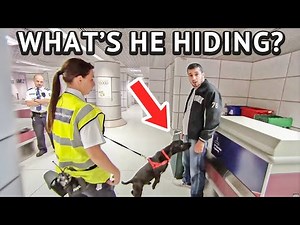 Sniffer Dog Pounces As This Passenger Grabs His Bags!