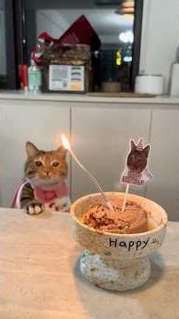 Smart Kitten Blowing Out the Candle in a Different Way 😂