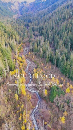 Snow-capped Mount Hood overlooks endless pine forests and brilliant autumn colors along the Sandy River — a breathtaking blend of mountain majesty and fall serenity in the Pacific Northwest. #MountHood #PNW #usa #travelblogger #travelling | Blissful Nature | Facebook