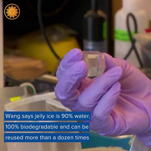 21K views · 95 reactions | A NEW KIND OF ICE: This revolutionary ice cube is reusable, moldable and compostable — and it could soon help combat cross-contamination, transform the way we ship food and cut down on waste. https://cbsn.ws/3juznm0 | CBS Mornings | Facebook