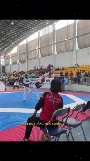 Video nhạc gia đình vui nhộn với bé mèo biết cười