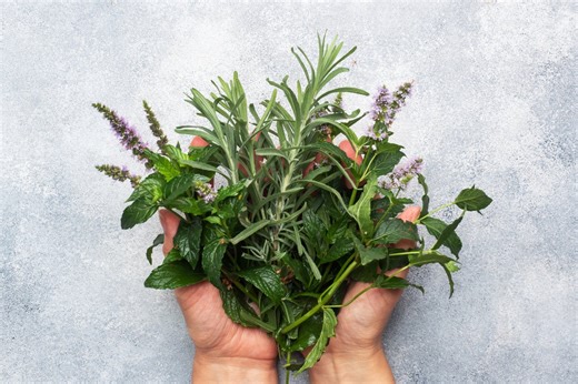 The herb linked to better memory, lower anxiety and Alzheimer’s protection