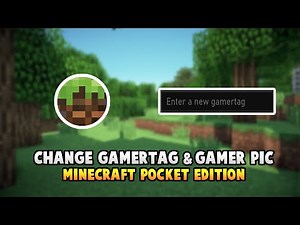 How To Change Your GAMERTAG & GAMER PIC For Minecraft PE.