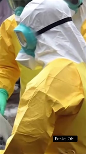 Hantavirus en Afrique du Sud : risque mortel à 40%