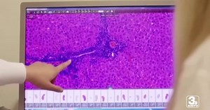 New COVID mutation most likely already in Nebraska