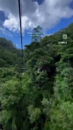 Ziplining Extreme Adventure - Most Thrilling Forest Zipline!