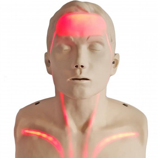 Brayden CPR Training Manikin