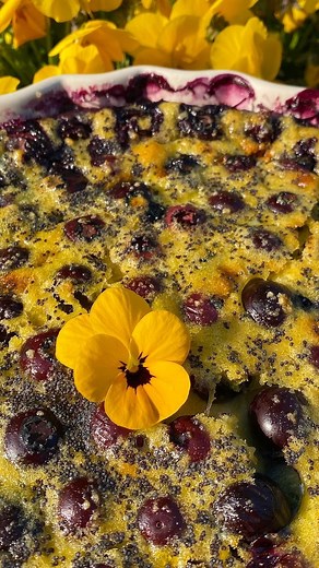 🍋 Blueberry and lemon 🫐 A quick and easy twist to the classic French clafoutis. Help yourself to the recipe on the new 👀 website! 🔗 in my bio @jillcolonna . . . #clafoutis #frenchcookingathome #lemonzest #easydesserts | Jill Colonna - Mad About Macarons Paris