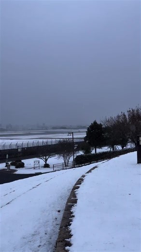 伊丹スカイパークの雪景色と飛行機の魅力
