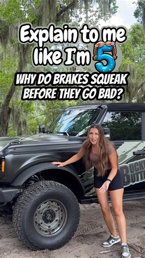 Explain to Me Like I'm 5.. Why do Brakes Squeak Before They Go Bad?