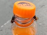 Honeybees work together to open a bottle of Fanta