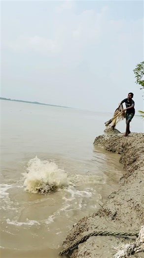 Vary big fish catching net my brother in the sundarbons river #amazing #fishing #village life age