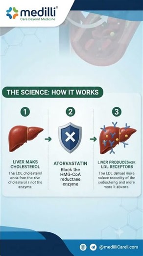 🧬 Science Behind the Medicine | Atorvastatin | Medili™