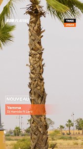 TRACE France - Cette semaine sur Trace Urban retrouvez...