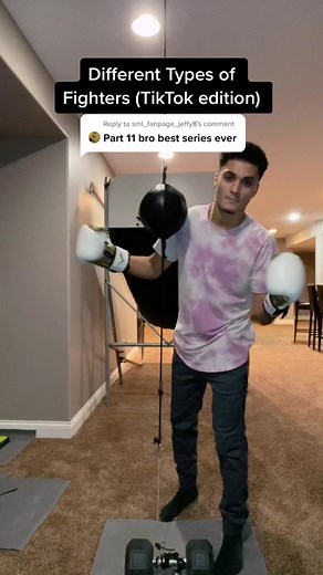 Different Types of Fighters in TikTok Edition