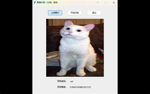 基于卷积神经网络的猫狗分类系统，resnet50，alexnet, shufflenet【pytorch框架，python，tkinter】
