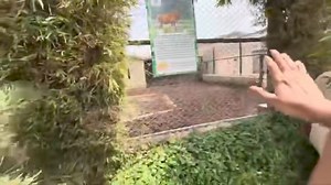 21K views · 574 reactions | Take an exclusive tour and discover:...