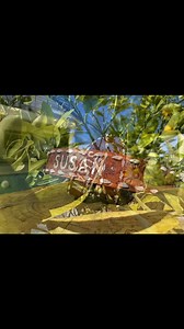 Personalized Hand Tooled Leather Western Belt: Custom Full Grain Cowboy Name/brand Belt - Etsy