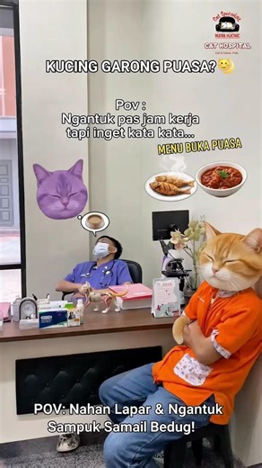 Kucing Garong kena nasehat 🤣