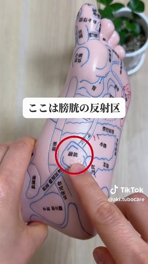 腎臓に関係する足裏の反射区3選｜身体が重だるい人向けセルフケア