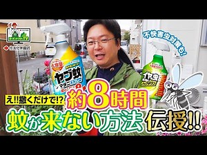 [Summer Garden Work] Controlling Aedes Mosquitoes and Other Unpleasant Pests (Spiders, Ants, Pill...