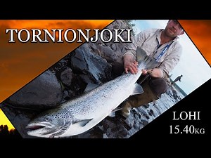Tornionjoki Lohi 15.4 kg - Juhan seuraava Bugiklubikala (Spinfluga - Matkakoski - DIY Putkiperhot)