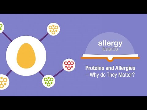 Proteins and Allergies – Why do they matter? | Allergy Insider