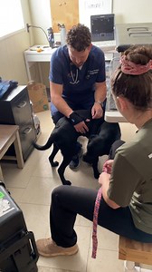 Every Eye and Heart Day we are reminded of the incredible community of people who help keep WCC’s future service dogs healthy like cardiologist Dr. Neil Peckens; ophthalmologist Dr. Nancy Bromberg; Dr. Joellen Gregory and the staff at Olney-Sandy Spring Veterinary Hospital; CVCA Cardiac Care for Pets & CVCA Cardiac Care for Pets; Dr. Denise Henry in North Carolina; and the staff at Heart Paw in Pennsylvania. These patient humans care for more than 100 dogs annually to ensure they are healthy for