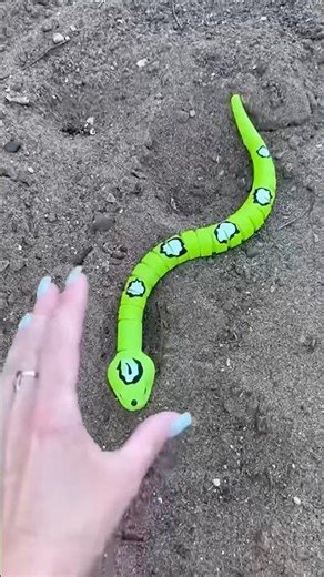 Introducing the "VitaWear SmartBand," a next-generation wearable gadget 🎉P3754